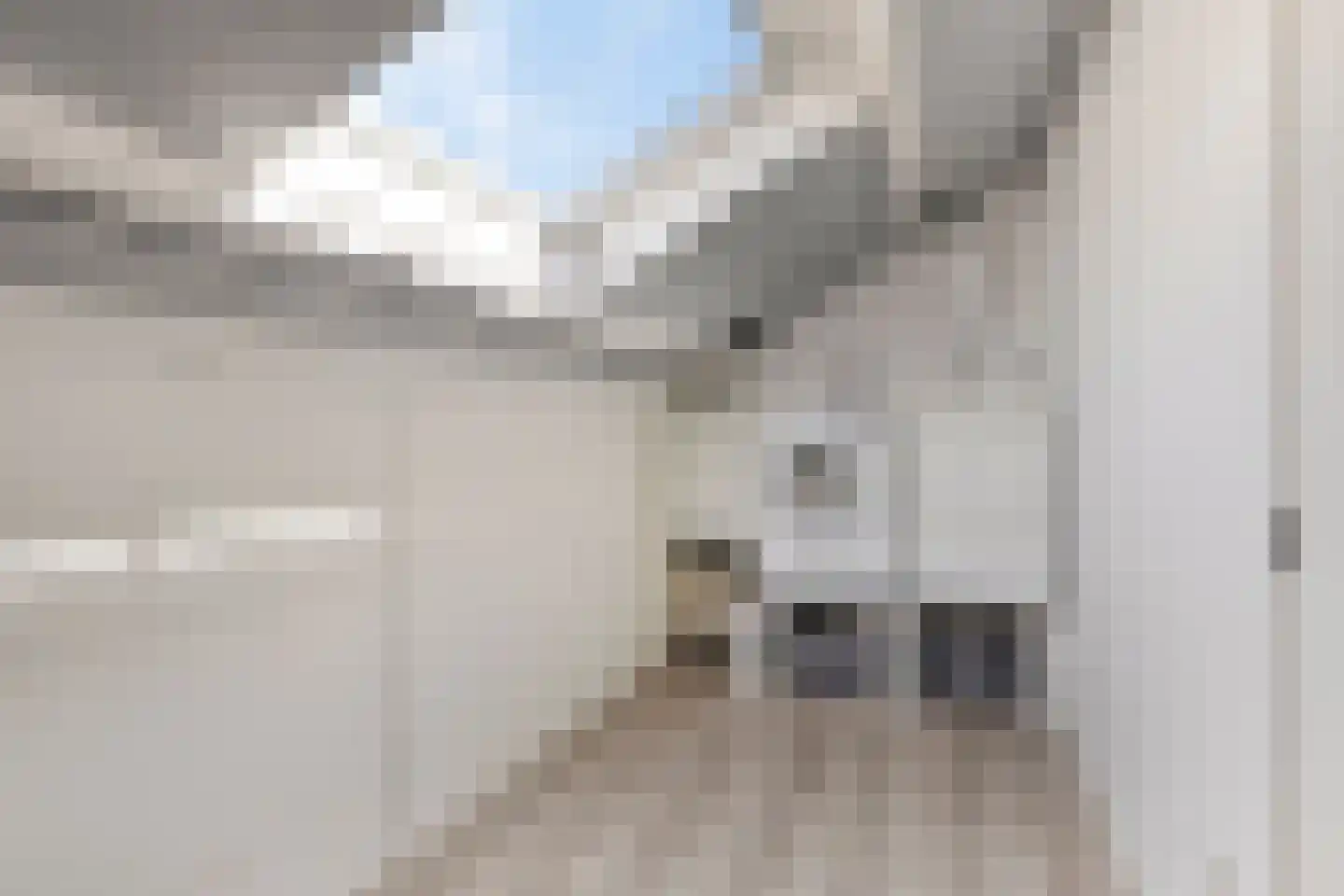 Doctor Saal van Zwanenberglaan 58 Heesch thumbnail 25