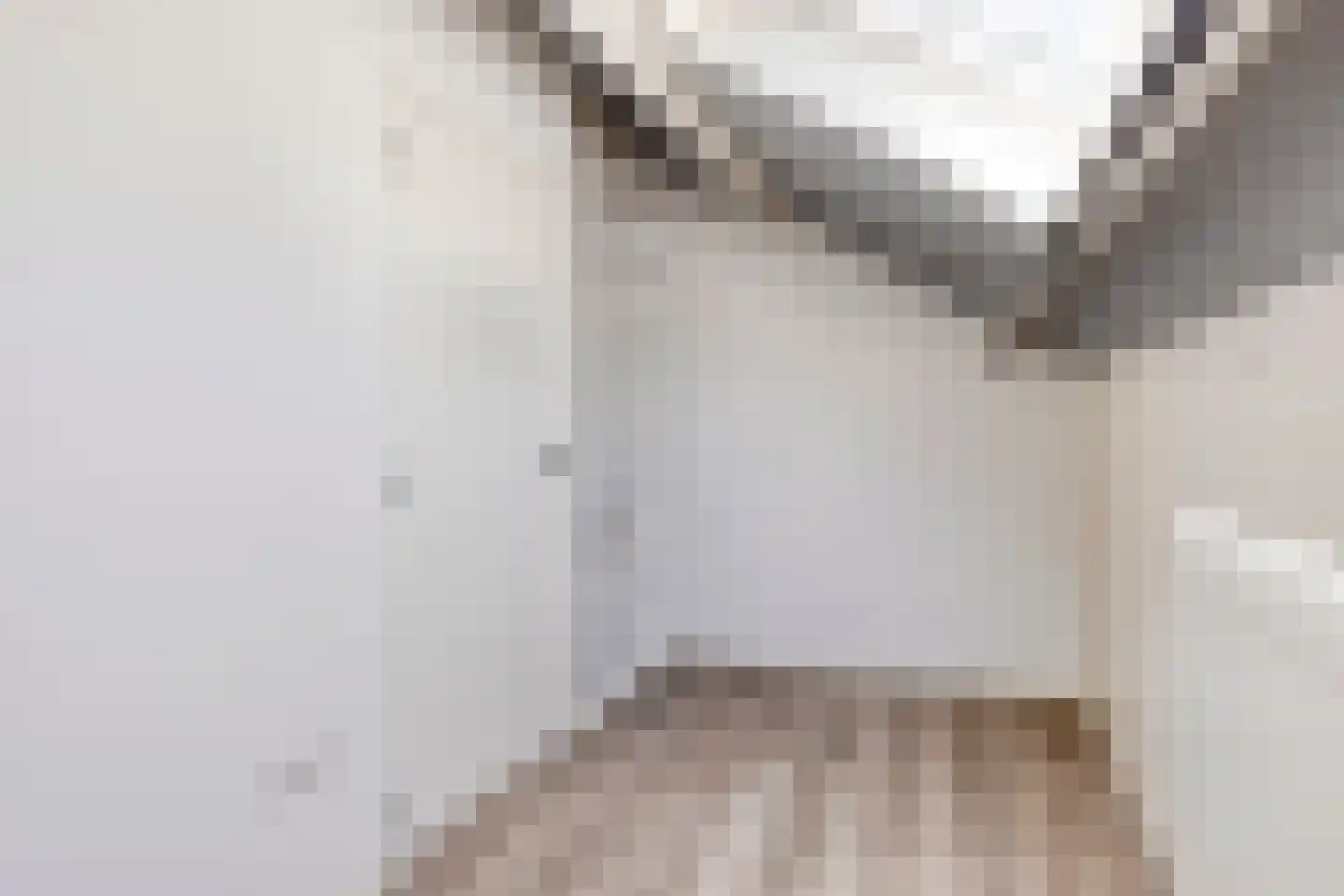 Doctor Saal van Zwanenberglaan 58 Heesch thumbnail 26