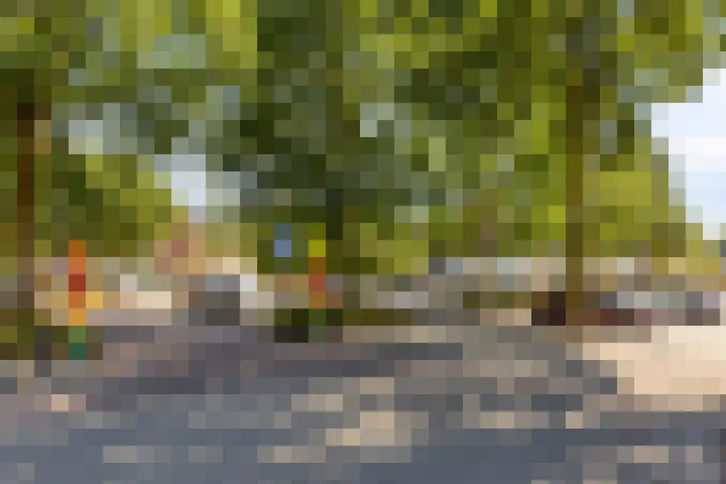 Doctor Saal van Zwanenberglaan 58 Heesch thumbnail 35