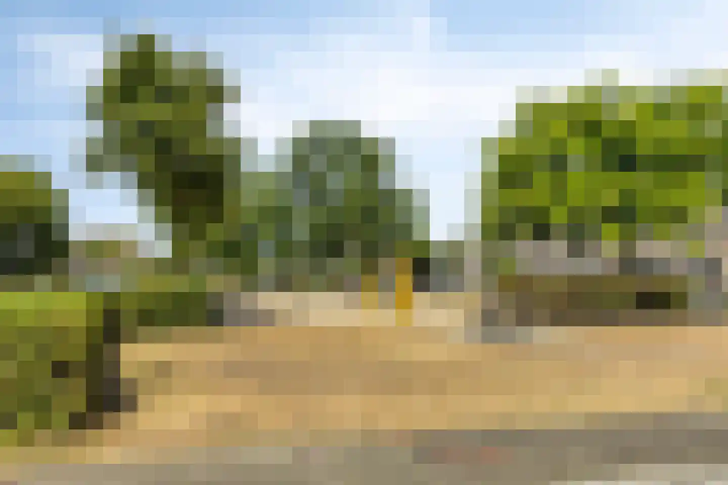 Doctor Saal van Zwanenberglaan 58 Heesch thumbnail 36