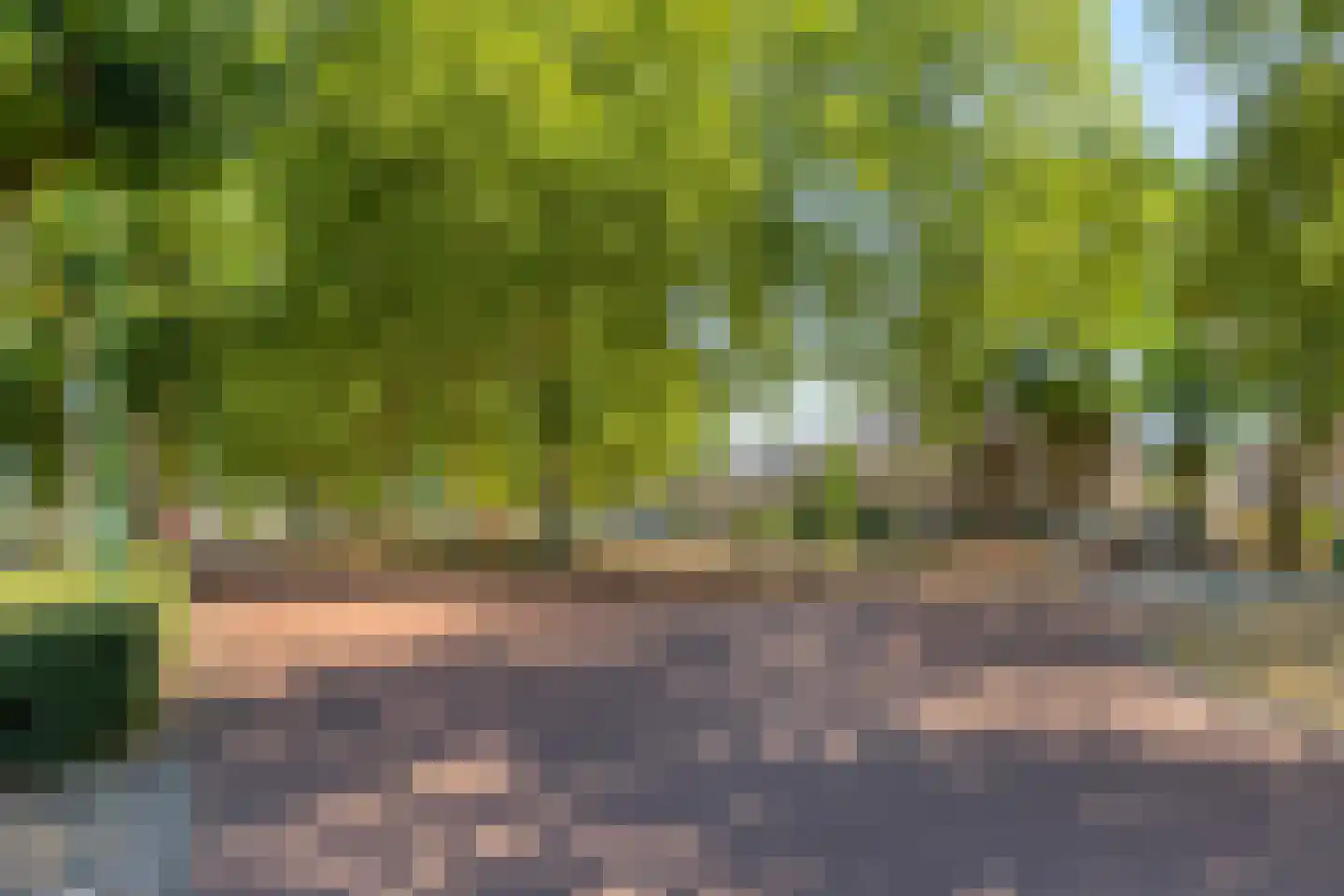 Doctor Saal van Zwanenberglaan 58 Heesch thumbnail 37