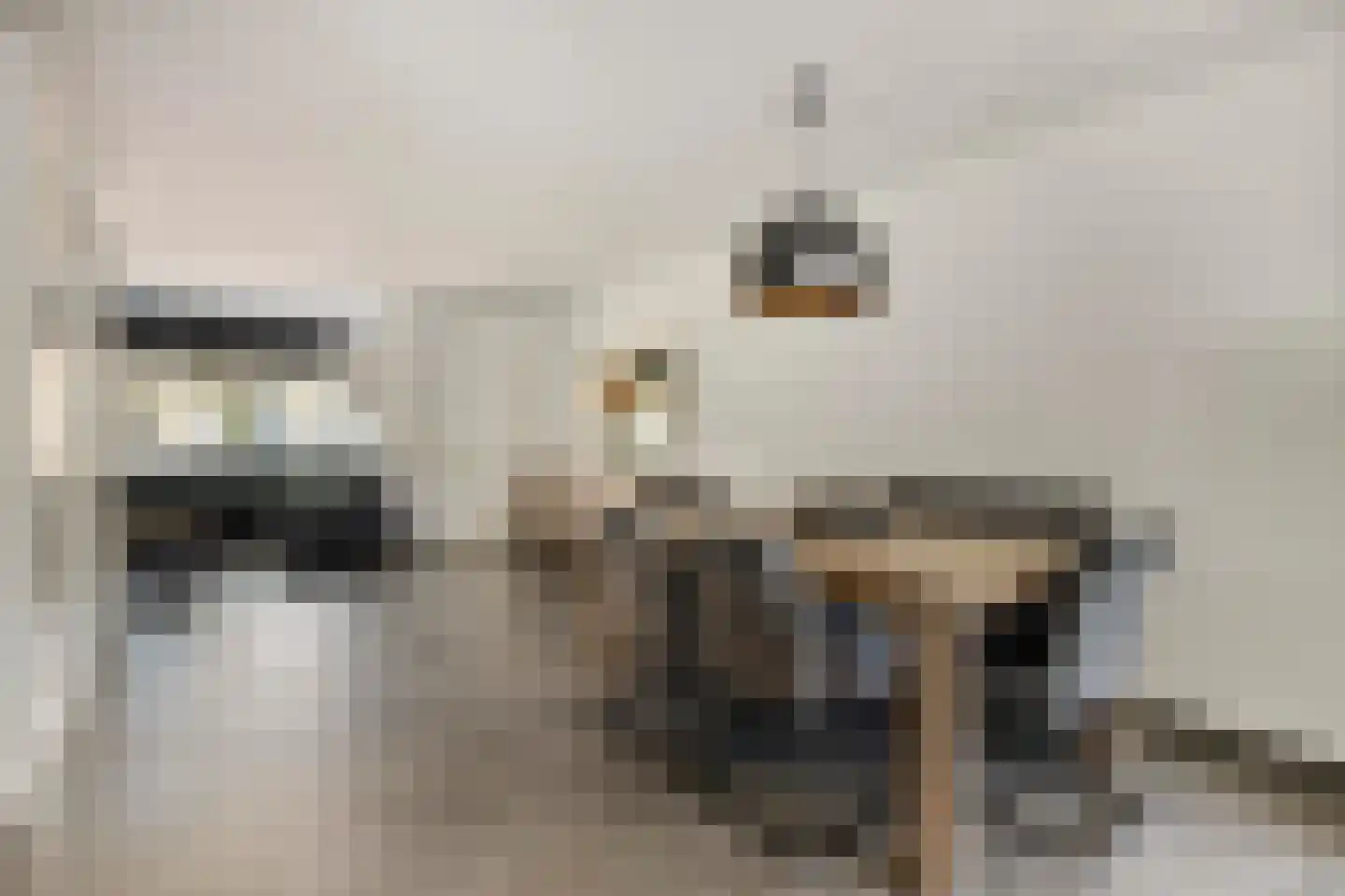 Doctor Saal van Zwanenberglaan 58 Heesch thumbnail 7