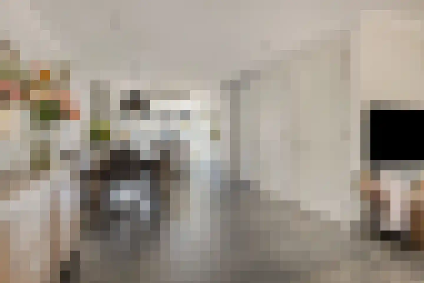 Doctor Saal van Zwanenberglaan 58 Heesch thumbnail 8