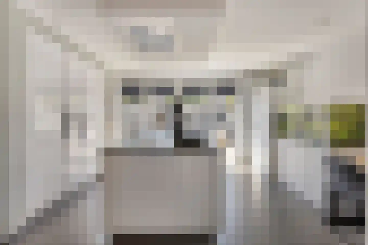 Doctor Saal van Zwanenberglaan 58 Heesch thumbnail 9