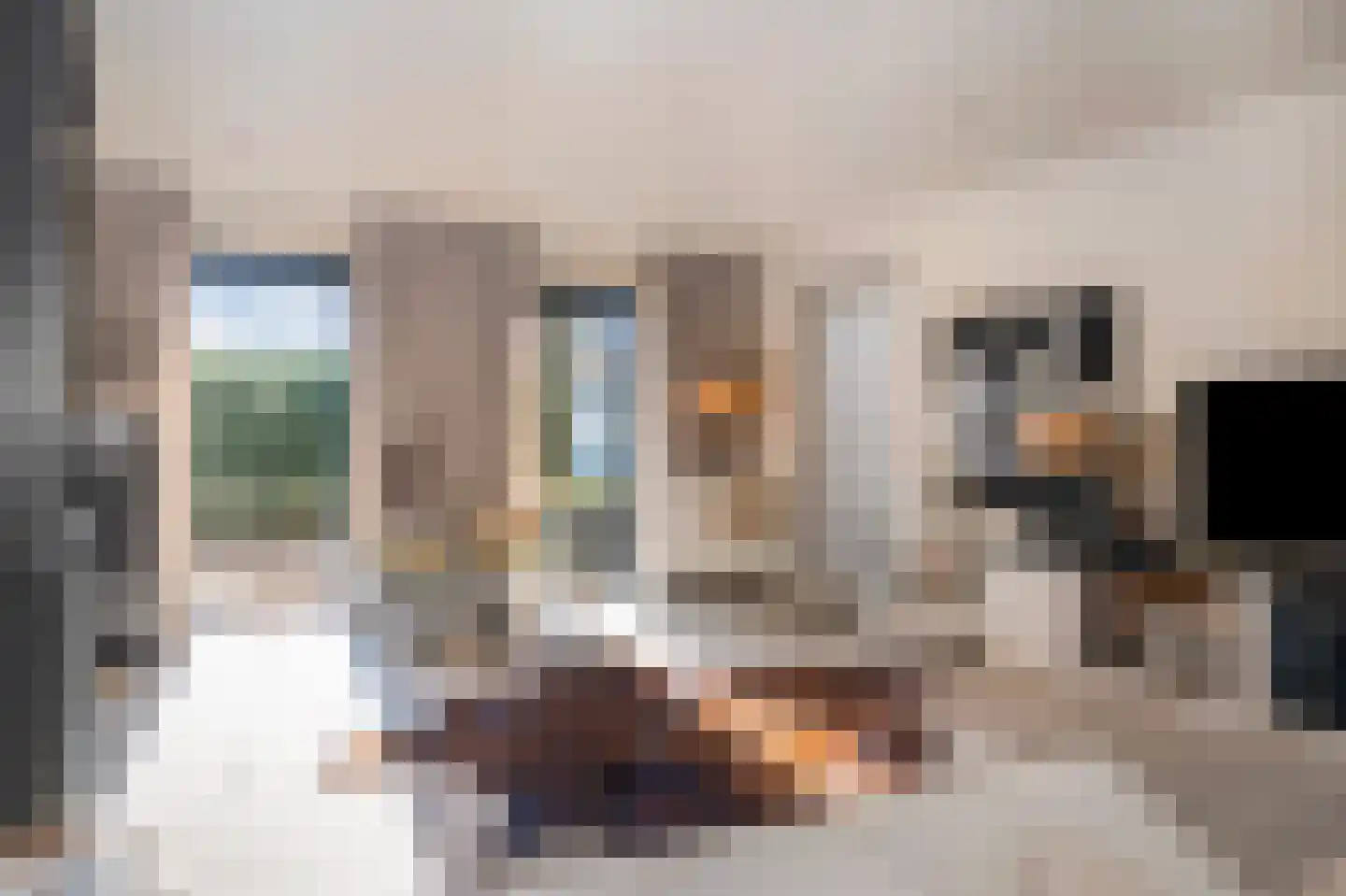 Doctor Schaepmanlaan 12 Beek thumbnail 12