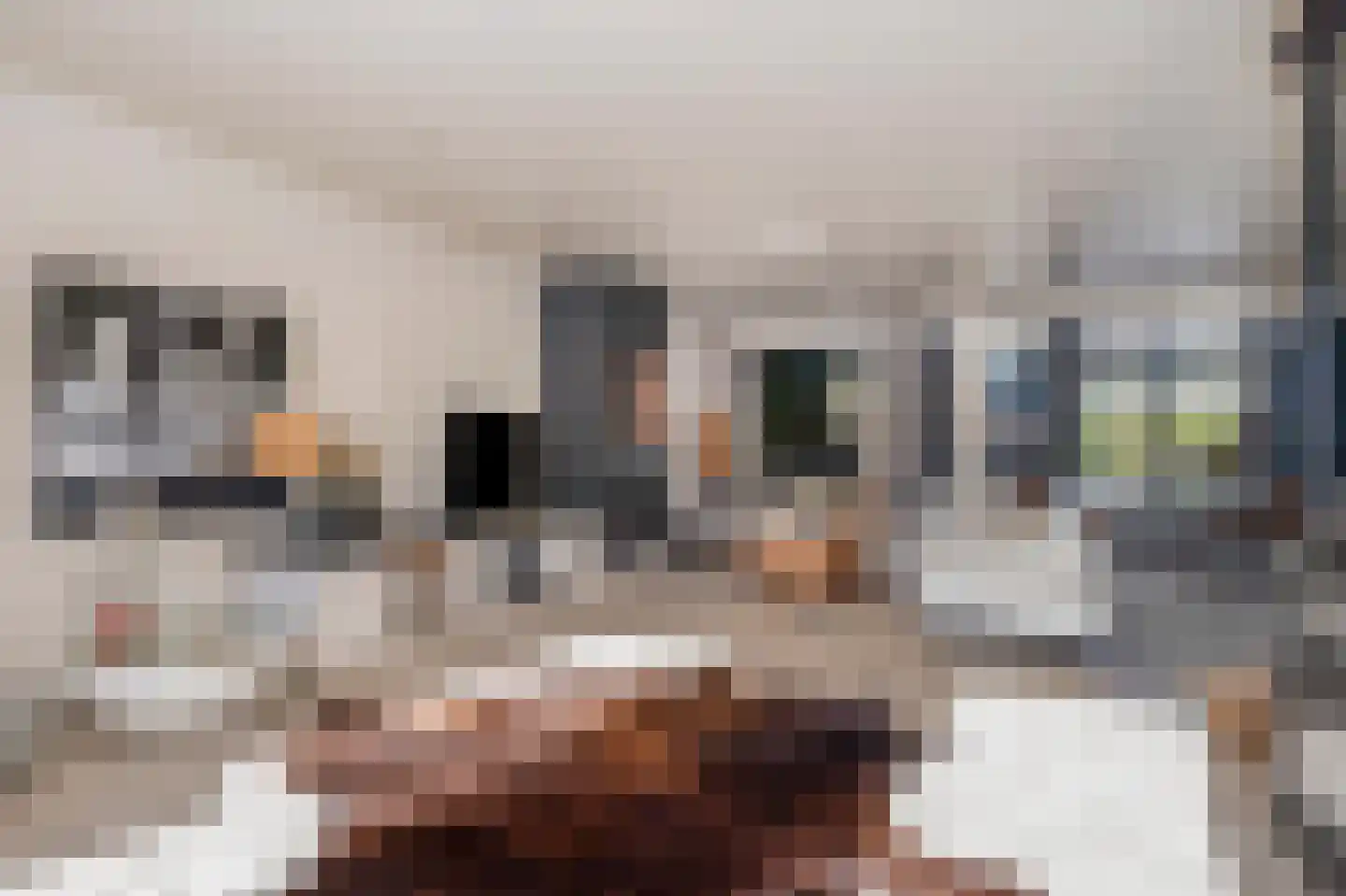Doctor Schaepmanlaan 12 Beek thumbnail 13