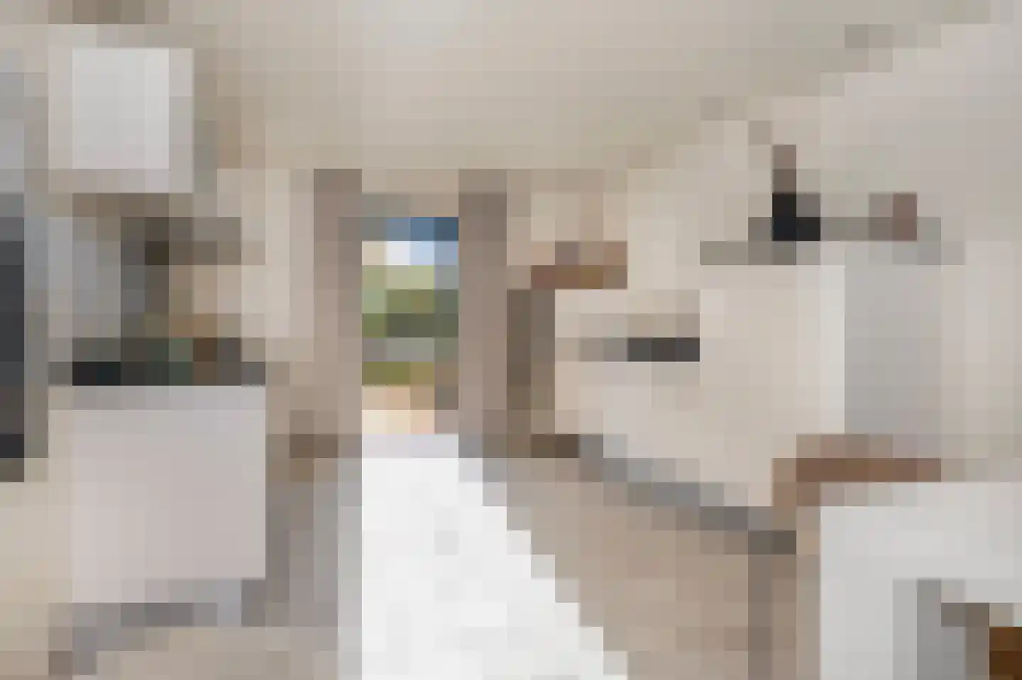 Doctor Schaepmanlaan 12 Beek thumbnail 17