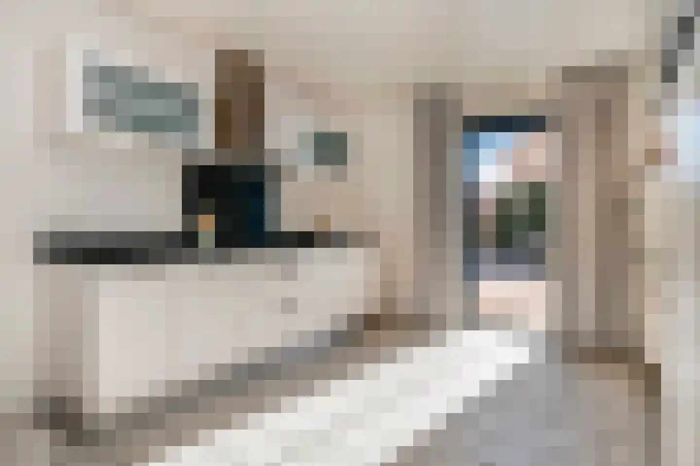 Doctor Schaepmanlaan 12 Beek thumbnail 18
