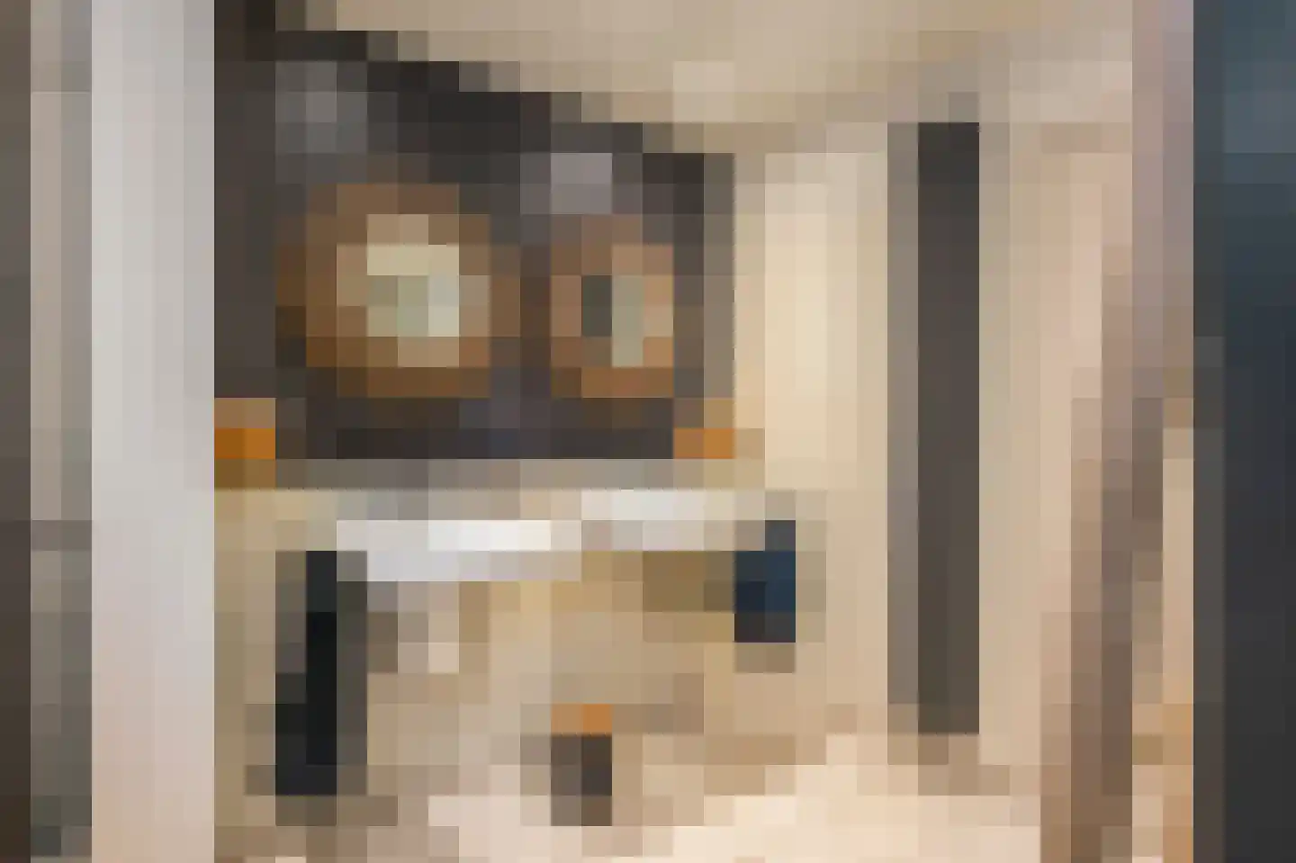 Doctor Schaepmanlaan 12 Beek thumbnail 20