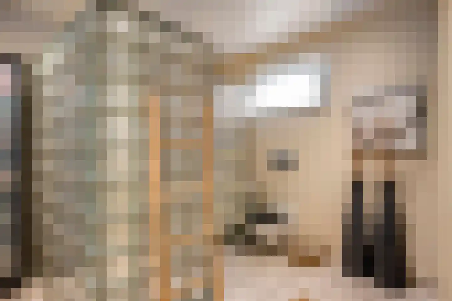Doctor Schaepmanlaan 12 Beek thumbnail 21