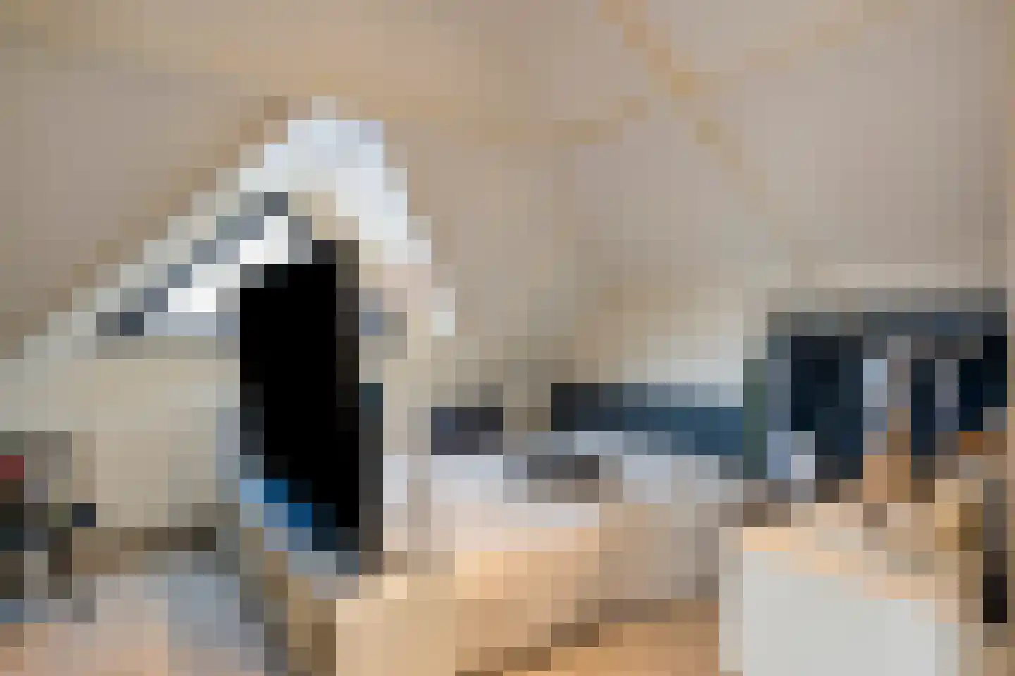 Doctor Schaepmanlaan 12 Beek thumbnail 24