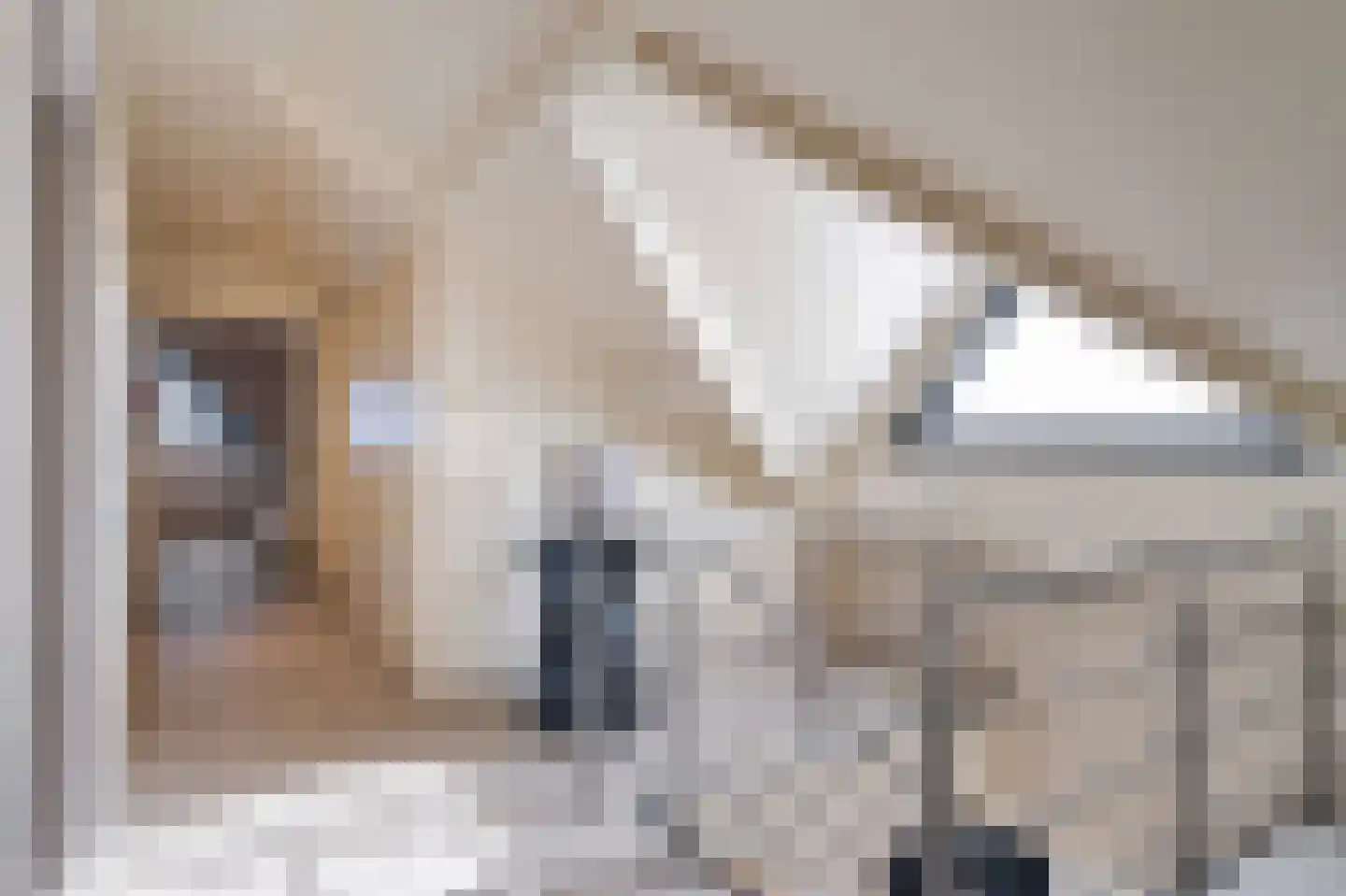 Doctor Schaepmanlaan 12 Beek thumbnail 25