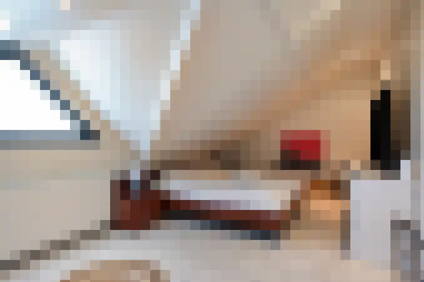 Doctor Schaepmanlaan 12 Beek thumbnail 27