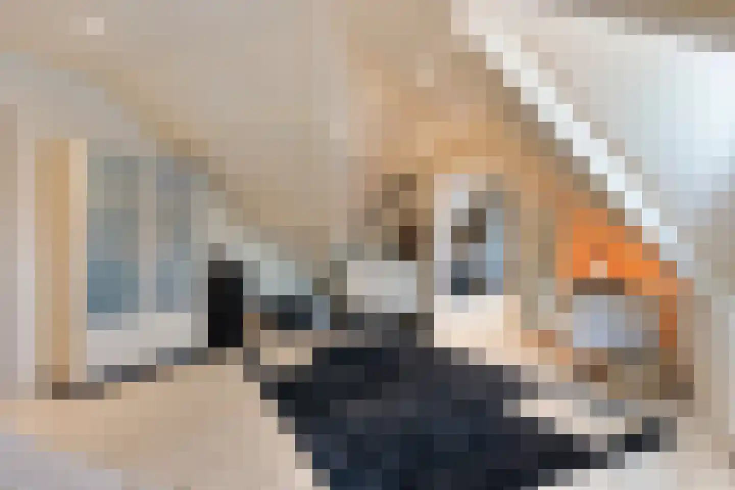 Doctor Schaepmanlaan 12 Beek thumbnail 28