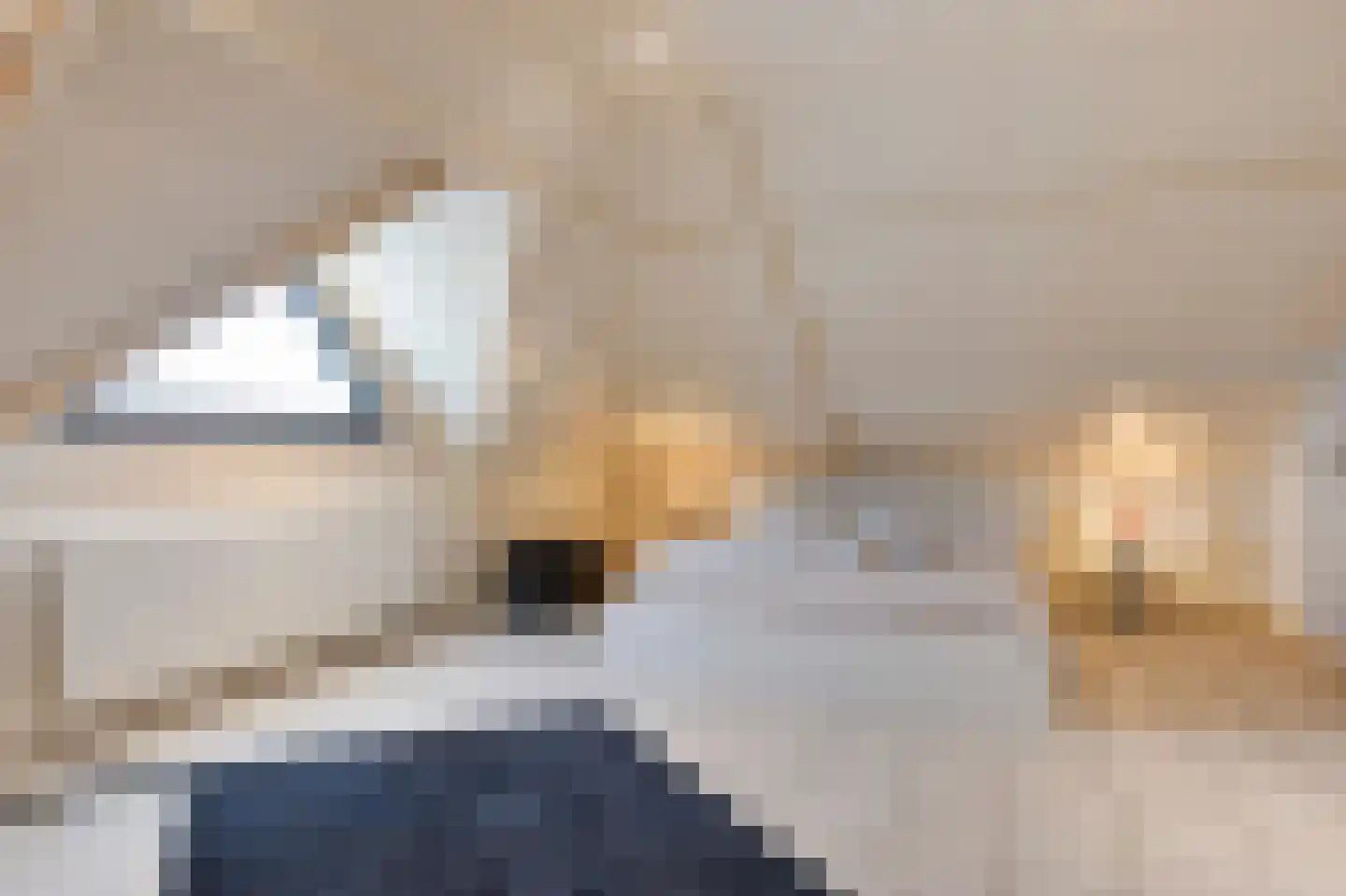 Doctor Schaepmanlaan 12 Beek thumbnail 29