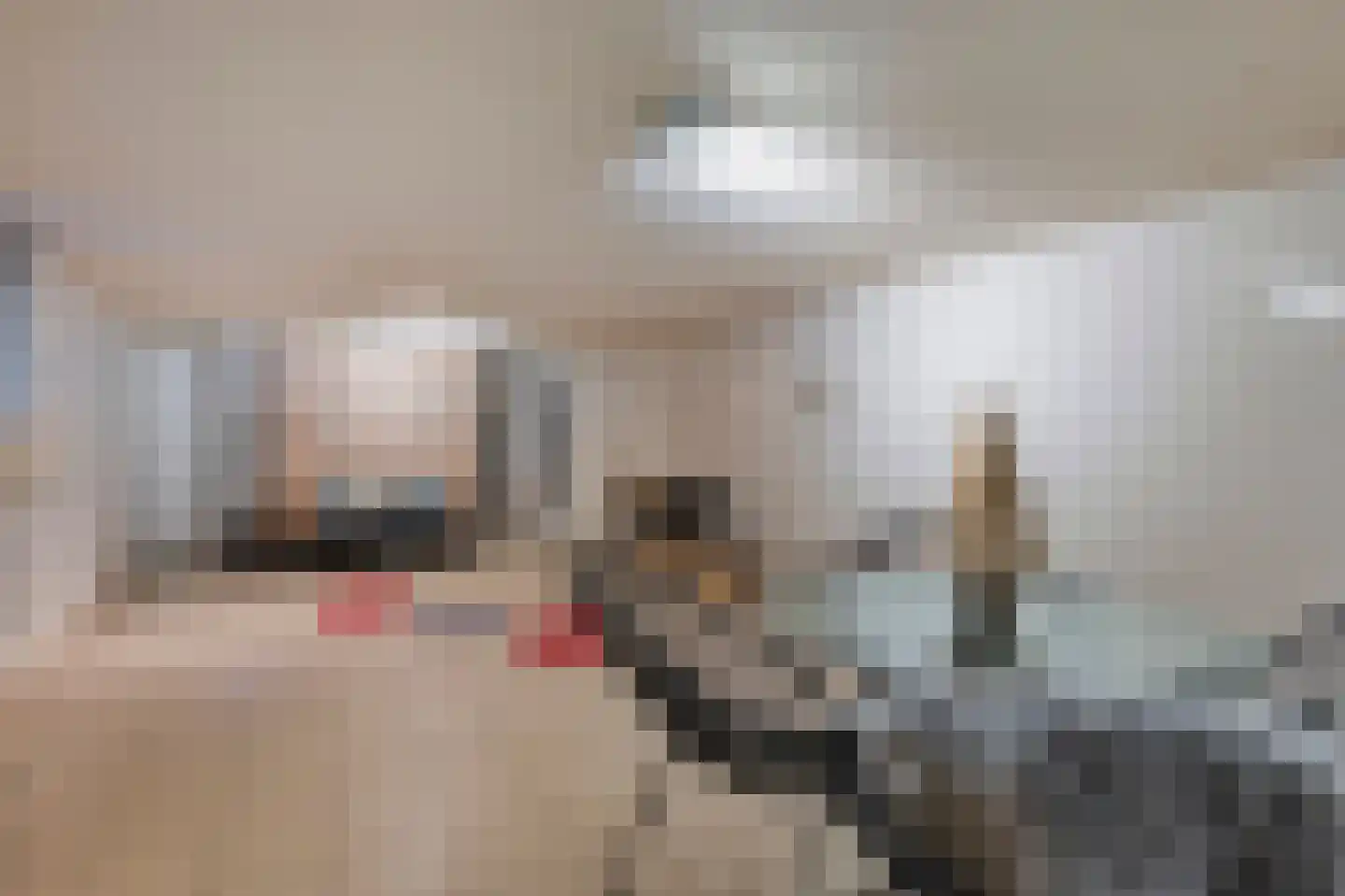 Doctor Schaepmanlaan 12 Beek thumbnail 32