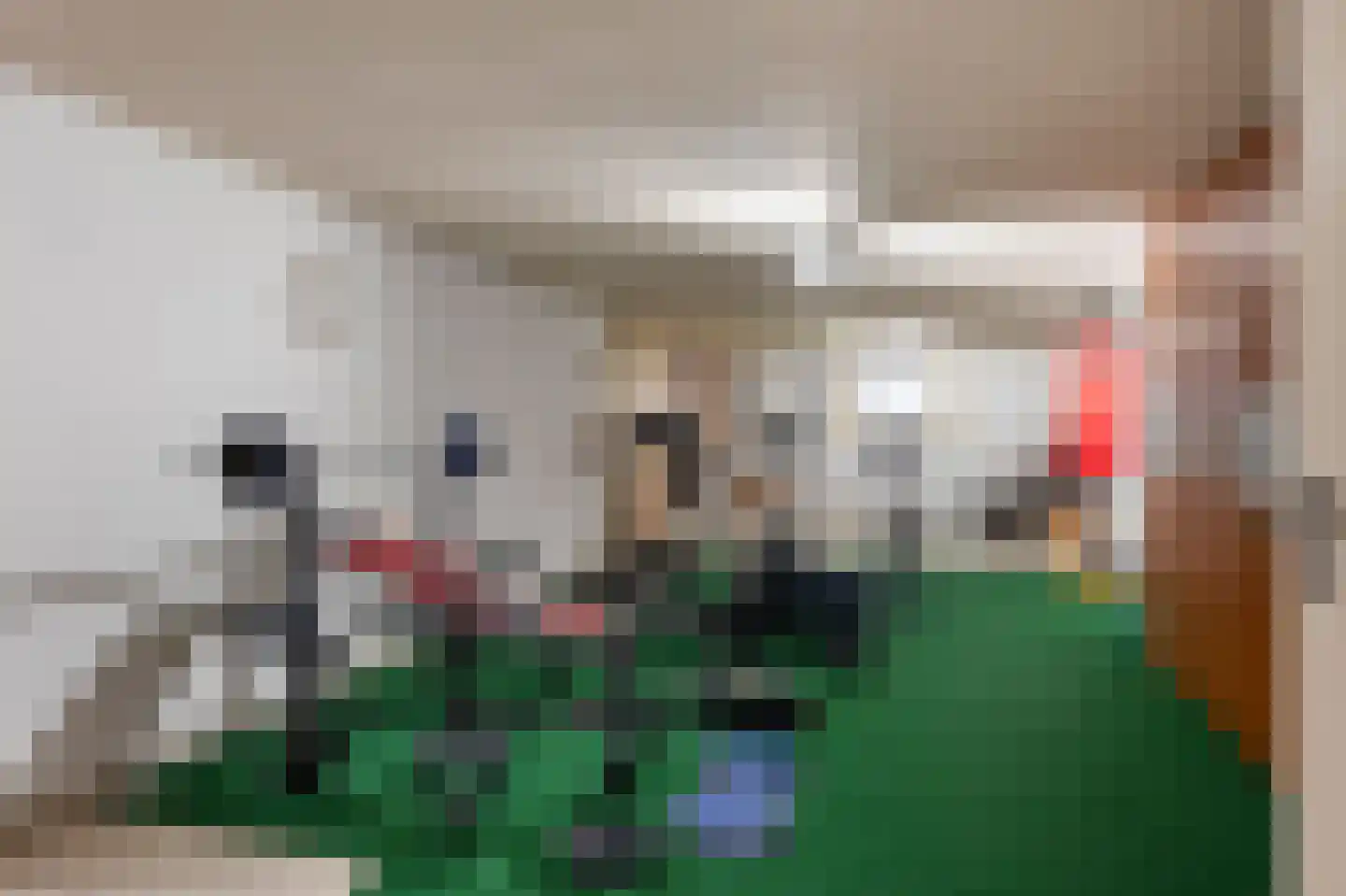 Doctor Schaepmanlaan 12 Beek thumbnail 34