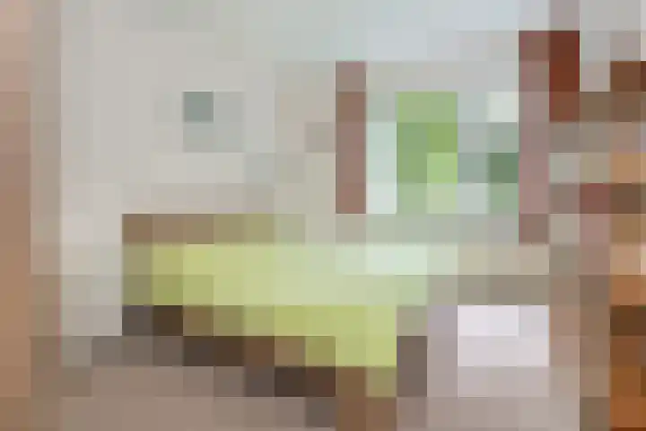Doctor Schaepmanlaan 14 Driebergen-Rijsenburg thumbnail 12
