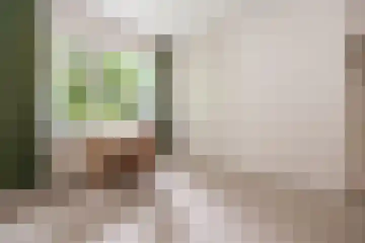 Doctor Schaepmanlaan 14 Driebergen-Rijsenburg thumbnail 14