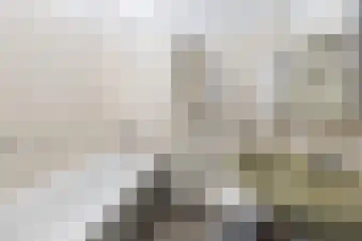 Doctor Schaepmanlaan 14 Driebergen-Rijsenburg thumbnail 17