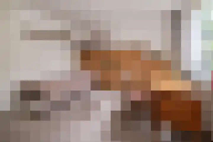 Doctor Schaepmanlaan 14 Driebergen-Rijsenburg thumbnail 18