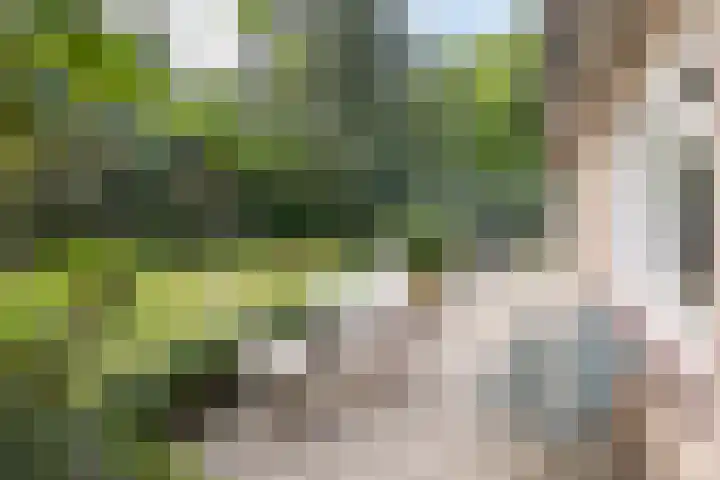 Doctor Schaepmanlaan 14 Driebergen-Rijsenburg thumbnail 34