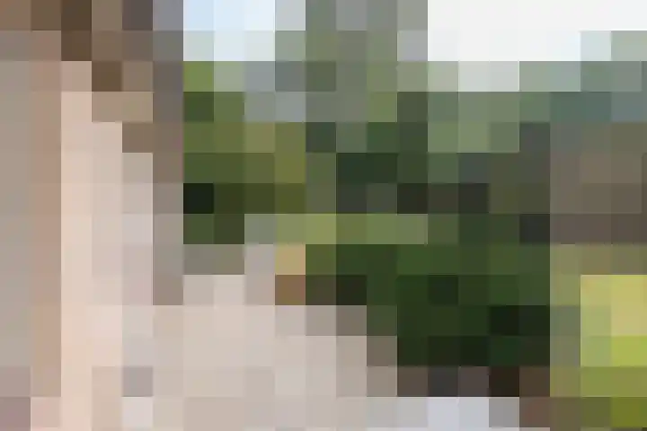 Doctor Schaepmanlaan 14 Driebergen-Rijsenburg thumbnail 35