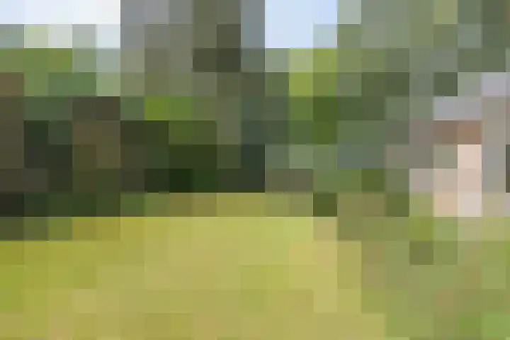 Doctor Schaepmanlaan 14 Driebergen-Rijsenburg thumbnail 36