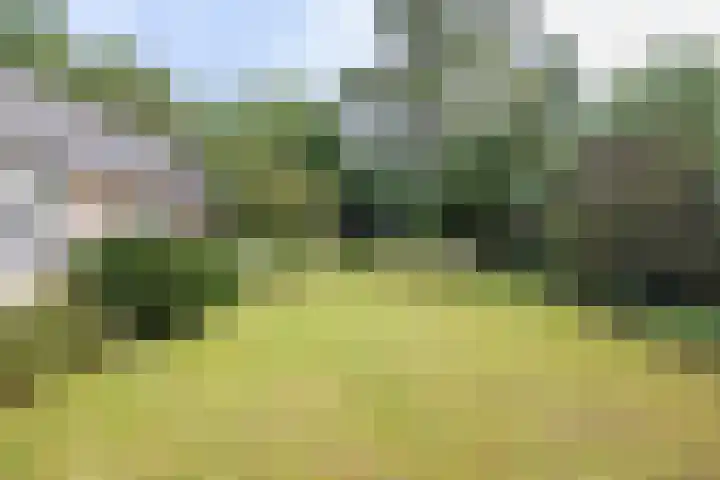 Doctor Schaepmanlaan 14 Driebergen-Rijsenburg thumbnail 37