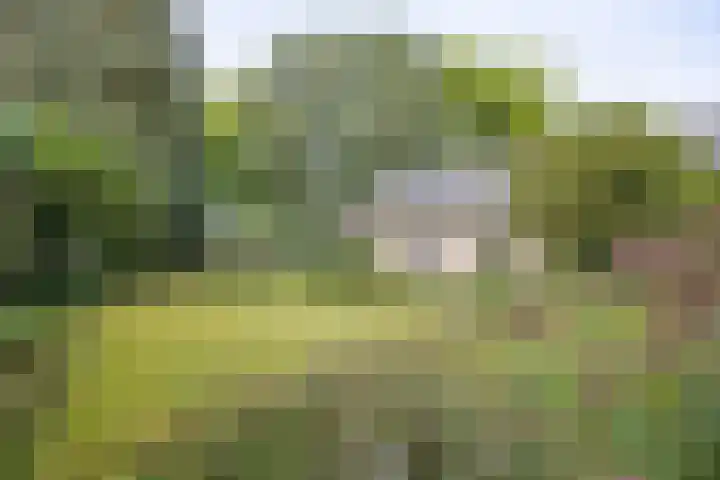 Doctor Schaepmanlaan 14 Driebergen-Rijsenburg thumbnail 38