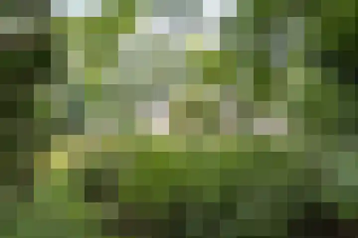 Doctor Schaepmanlaan 14 Driebergen-Rijsenburg thumbnail 39