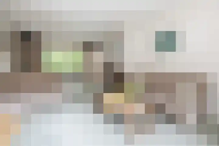 Doctor Schaepmanlaan 14 Driebergen-Rijsenburg thumbnail 4