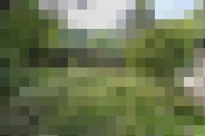 Doctor Schaepmanlaan 14 Driebergen-Rijsenburg thumbnail 40