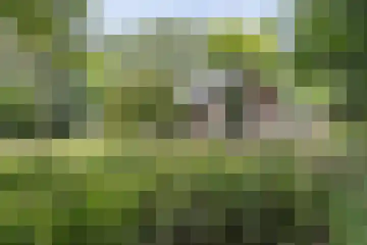 Doctor Schaepmanlaan 14 Driebergen-Rijsenburg thumbnail 41