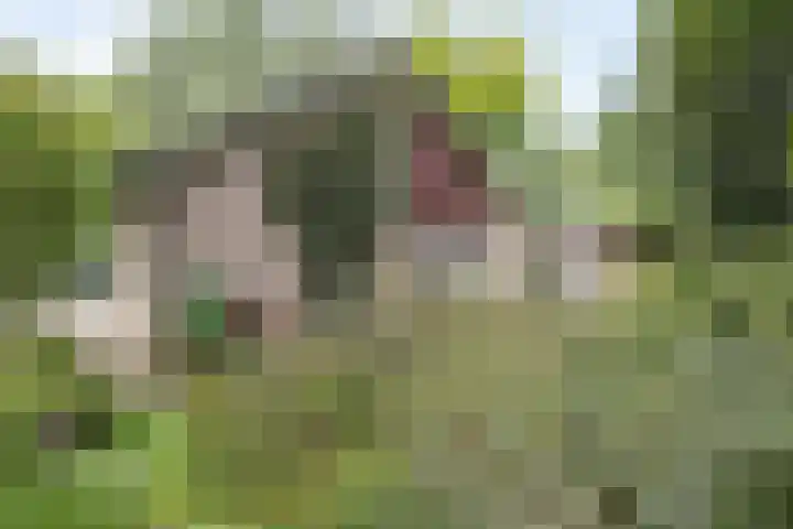Doctor Schaepmanlaan 14 Driebergen-Rijsenburg thumbnail 42