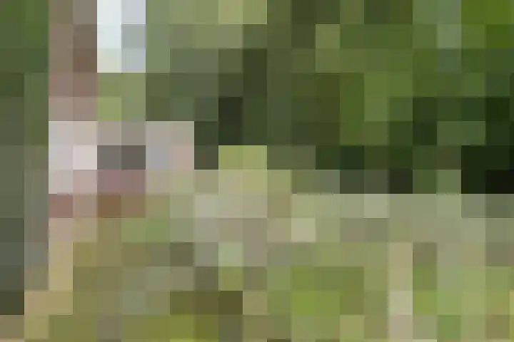 Doctor Schaepmanlaan 14 Driebergen-Rijsenburg thumbnail 43