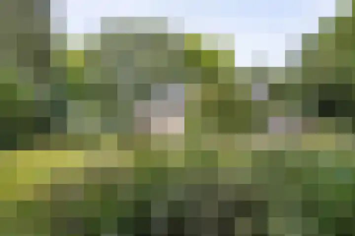 Doctor Schaepmanlaan 14 Driebergen-Rijsenburg thumbnail 45