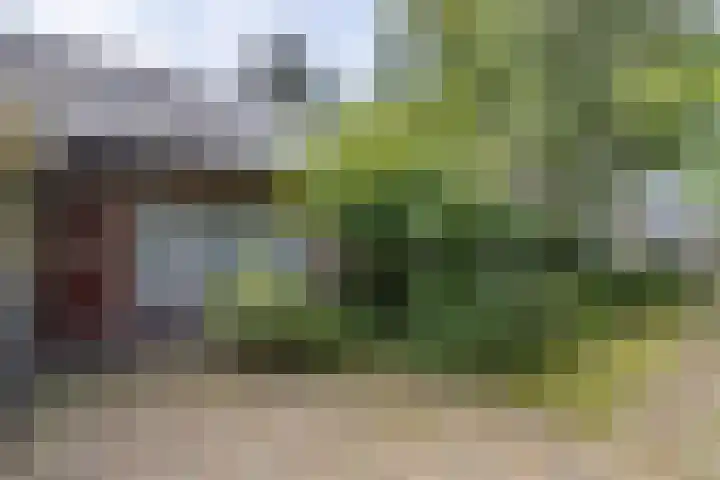 Doctor Schaepmanlaan 14 Driebergen-Rijsenburg thumbnail 47