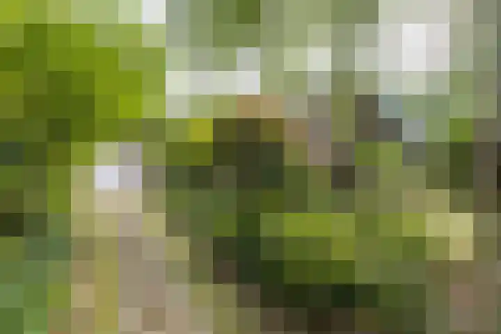 Doctor Schaepmanlaan 14 Driebergen-Rijsenburg thumbnail 48