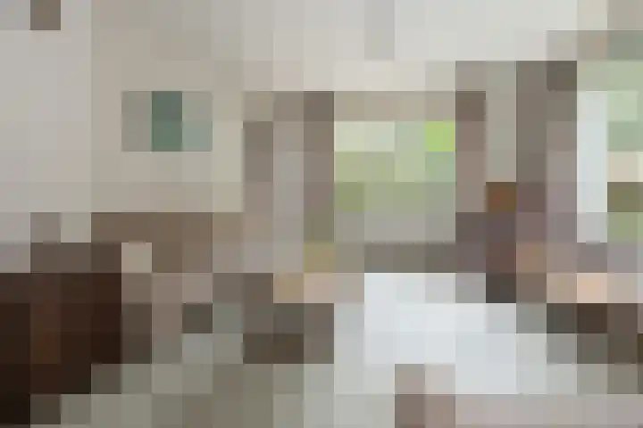 Doctor Schaepmanlaan 14 Driebergen-Rijsenburg thumbnail 5