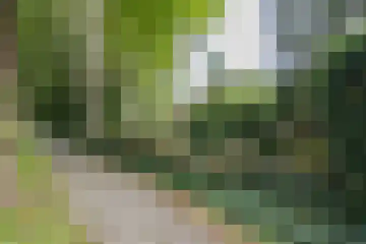 Doctor Schaepmanlaan 14 Driebergen-Rijsenburg thumbnail 51