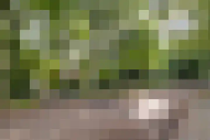Doctor Schaepmanlaan 14 Driebergen-Rijsenburg thumbnail 52