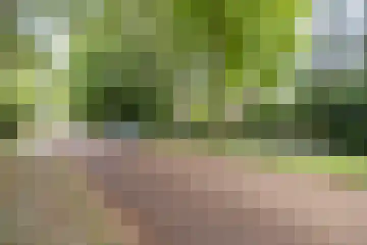 Doctor Schaepmanlaan 14 Driebergen-Rijsenburg thumbnail 53