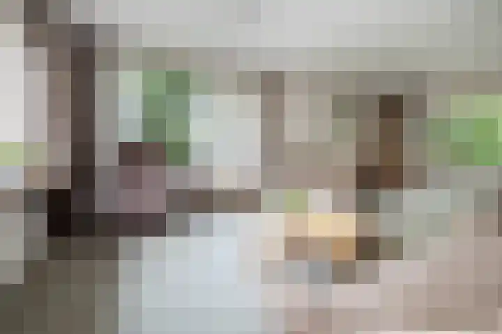 Doctor Schaepmanlaan 14 Driebergen-Rijsenburg thumbnail 6