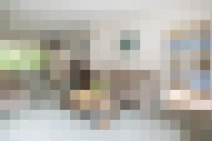 Doctor Schaepmanlaan 14 Driebergen-Rijsenburg thumbnail 7
