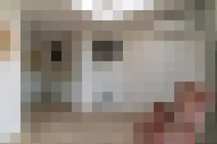 Doctor Schaepmanlaan 57 Beek thumbnail 11