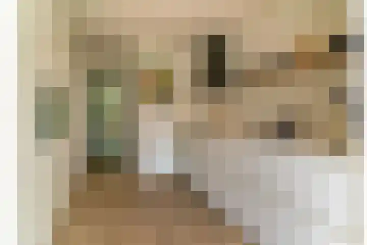 Doctor Schaepmanlaan 57 Beek thumbnail 13