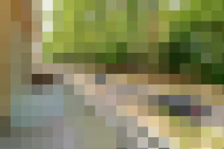 Doctor Schaepmanlaan 57 Beek thumbnail 19