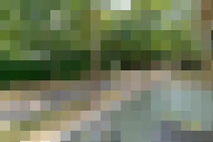 Doctor Schaepmanlaan 57 Beek thumbnail 20