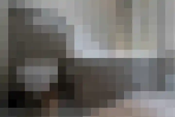 Doctor Schaepmanlaan 57 Beek thumbnail 25